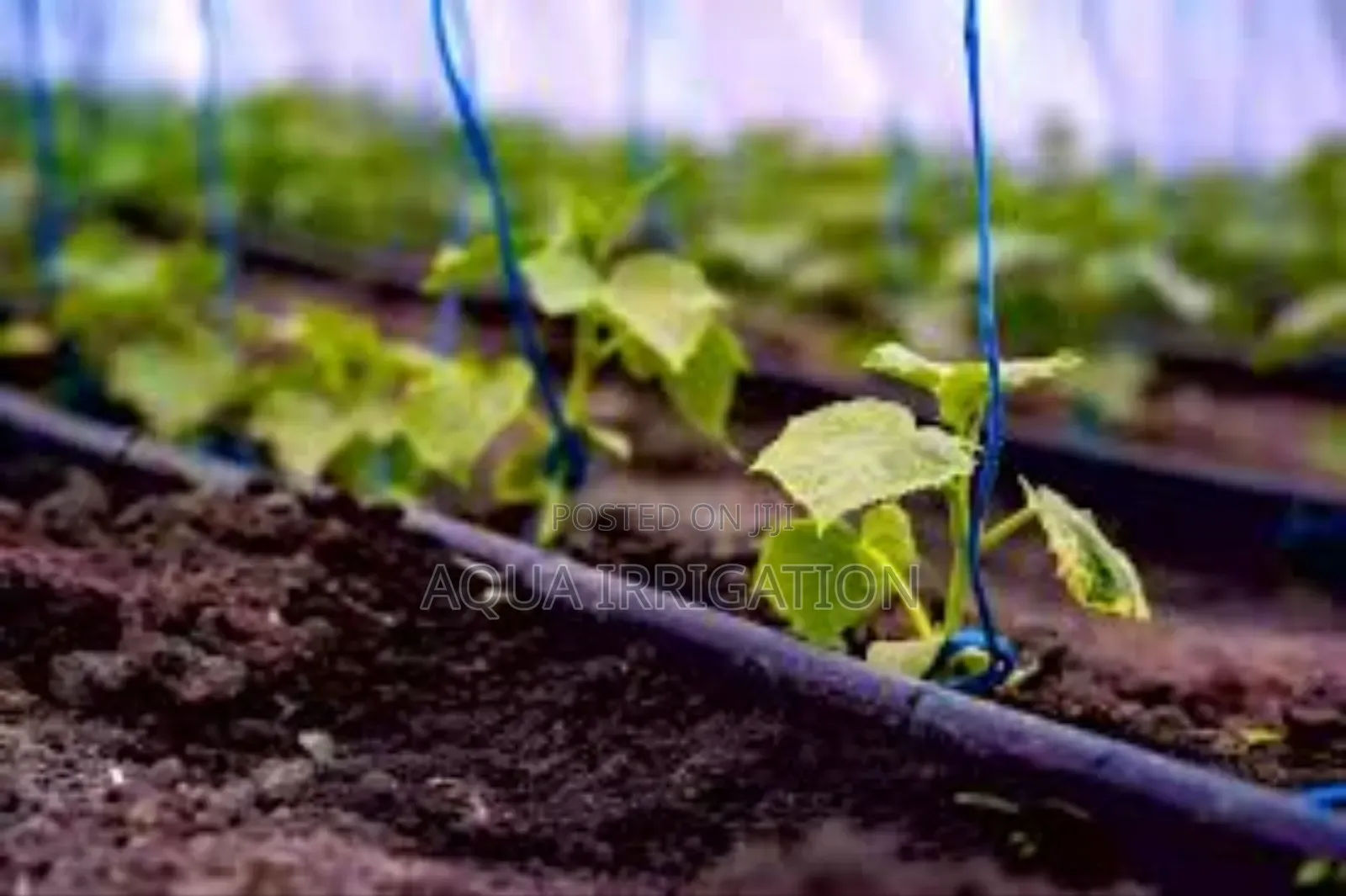Efficient Watering for Thriving Crops!