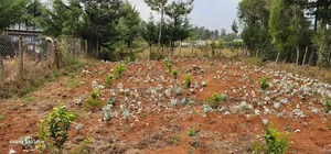 1⁄4 Plot for Sale in Annex Saroyot in Eldoret