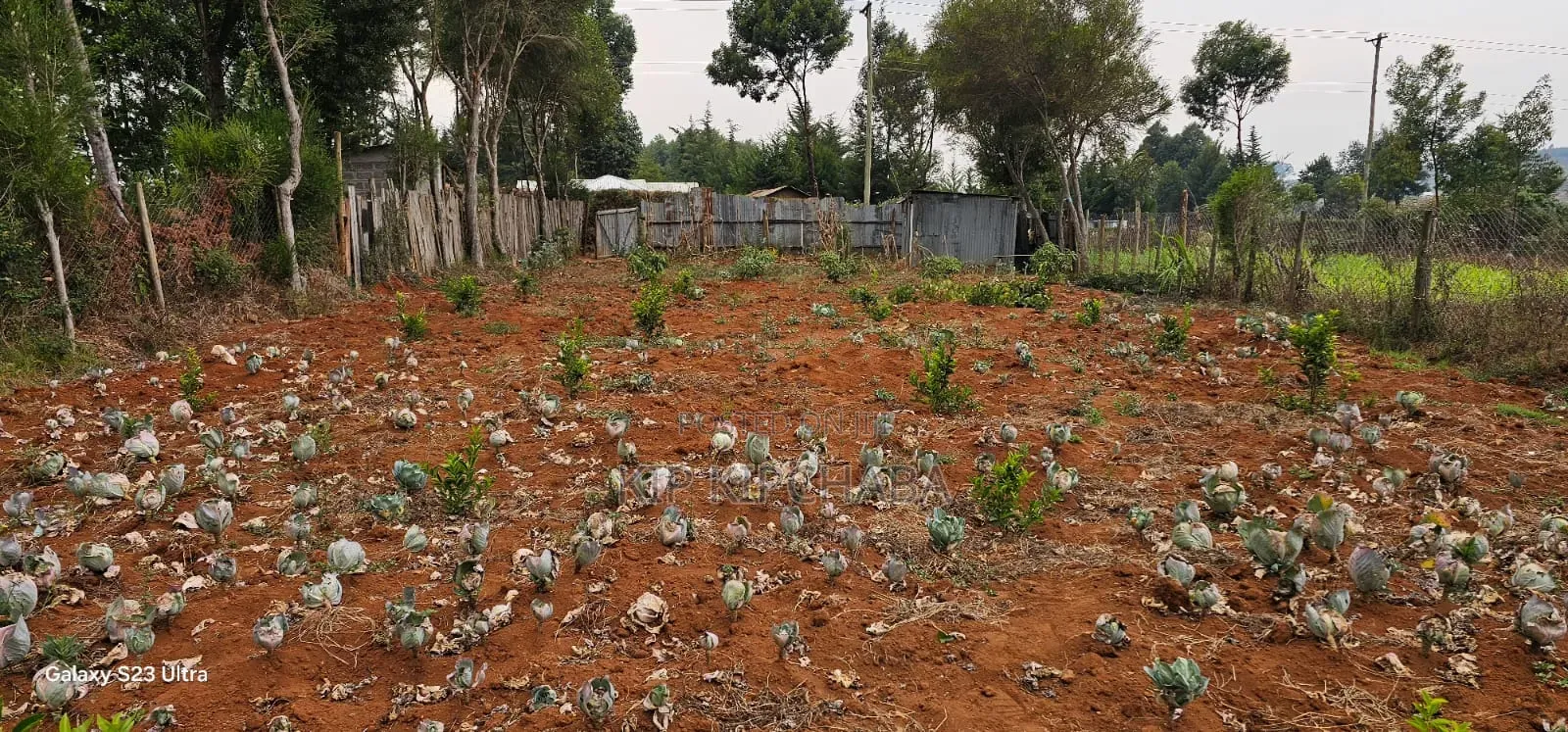 1⁄4 Plot for Sale in Annex Saroyot in Eldoret