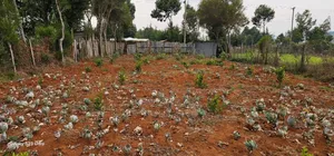 1⁄4 Plot for Sale in Annex Saroyot in Eldoret