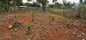 1⁄4 Plot for Sale in Annex Saroyot in Eldoret
