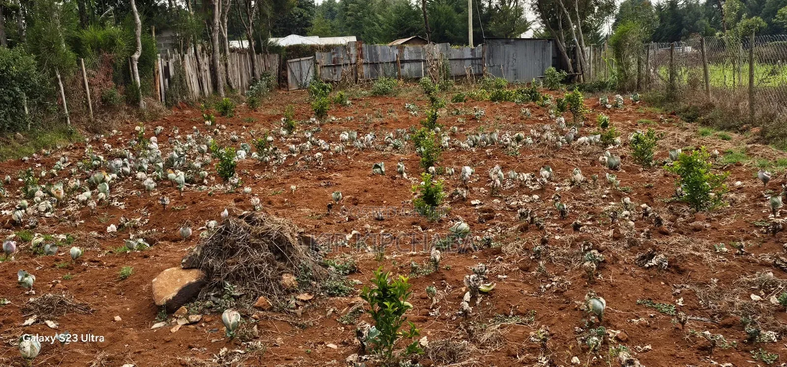 1⁄4 Plot for Sale in Annex Saroyot in Eldoret