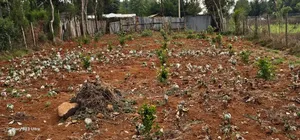 1⁄4 Plot for Sale in Annex Saroyot in Eldoret