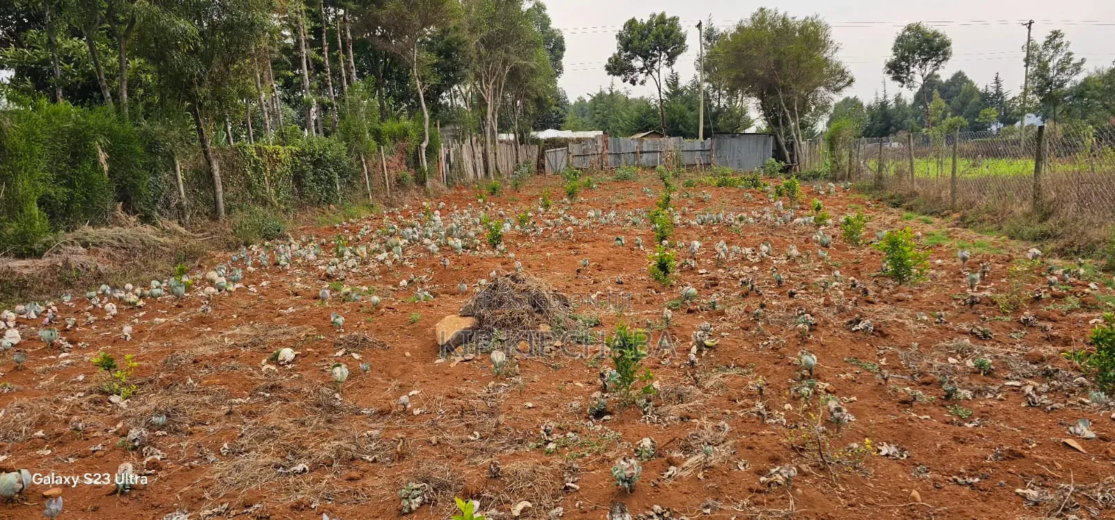 1⁄4 Plot for Sale in Annex Saroyot in Eldoret