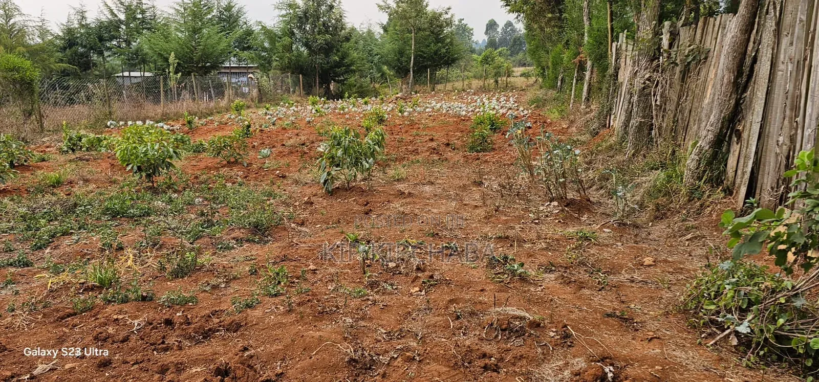 1⁄4 Plot for Sale in Annex Saroyot in Eldoret