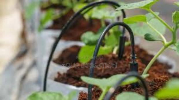 Drip Irrigation: Grow More With Less - main view