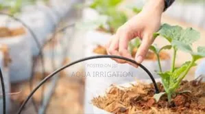 Drip Lines: Precision Watering, Maximum Growth