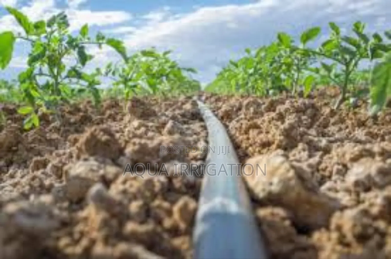 Sustainable Irrigation for Every Crop