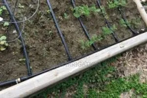 Water Wisely, Harvest More With Drip Lines!