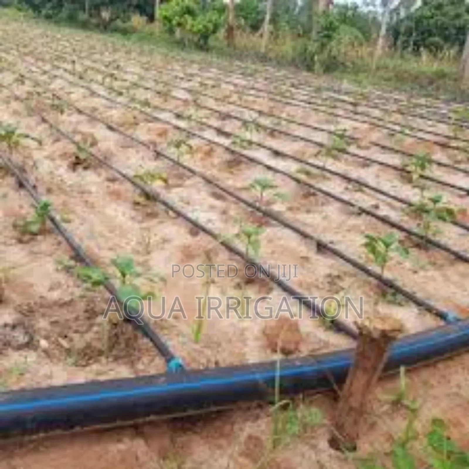 Efficient Watering for Every Farm
