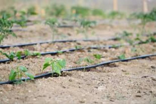 Drip Irrigation: More Crop, Less Effort - main view