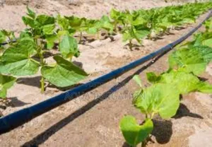 Water Your Crops With Precision