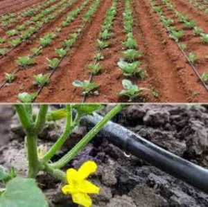 Maximize Growth With Smart Drip Irrigation!
