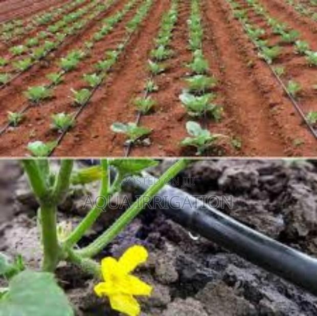 Maximize Growth With Smart Drip Irrigation!