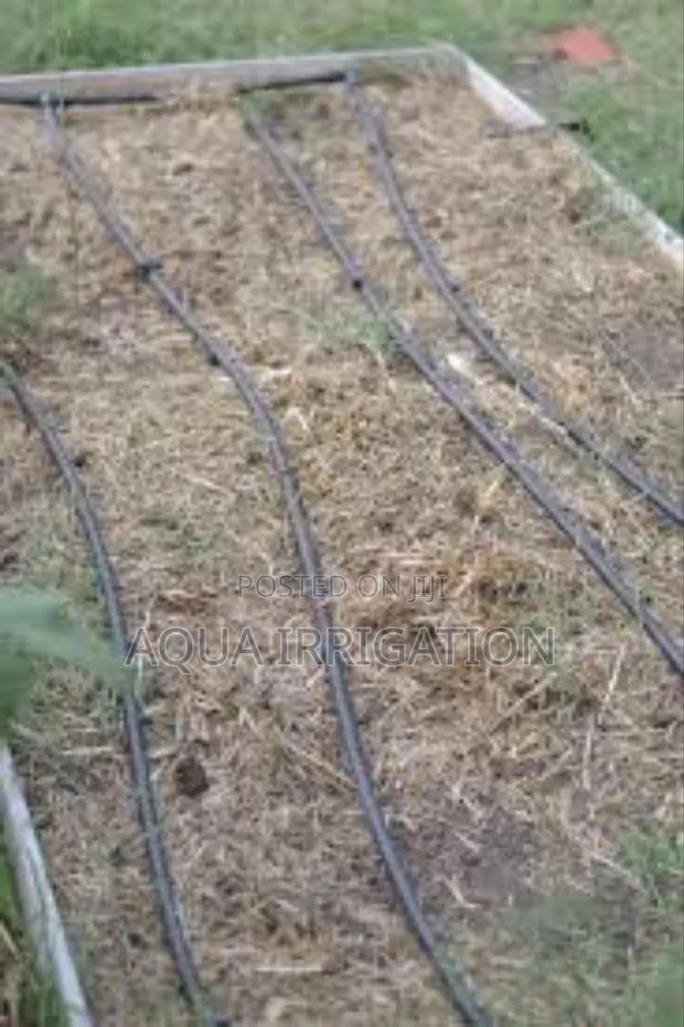 Drip Lines: The Secret to Thriving Fields! - main view