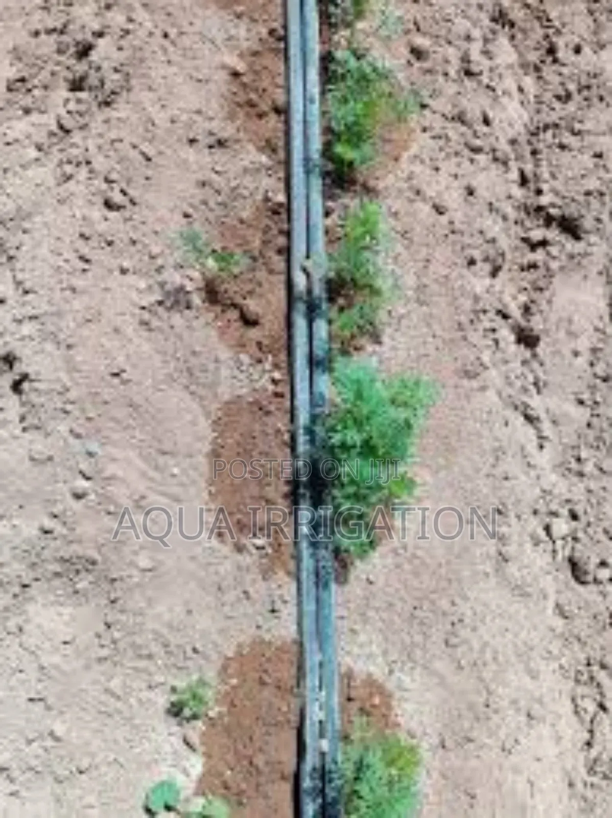 Drip Lines: Less Water, More Growth