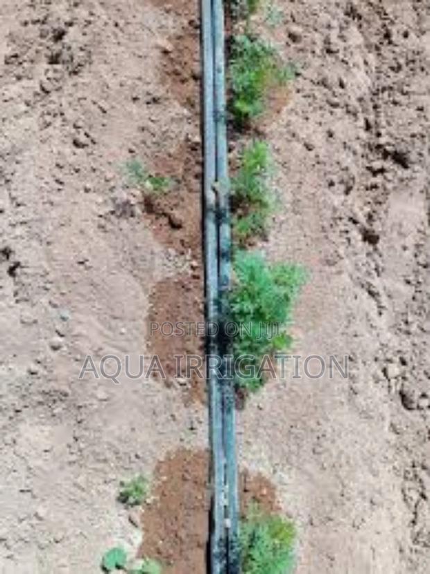 Drip Lines: Less Water, More Growth