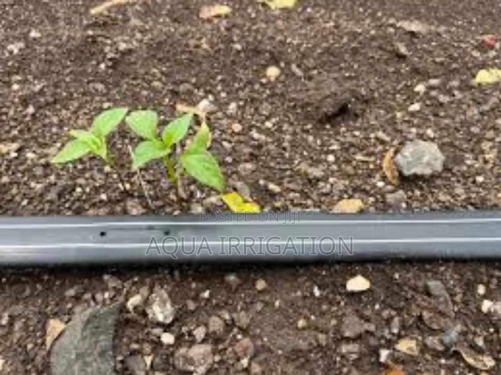 Precision Irrigation for a Greener Future!