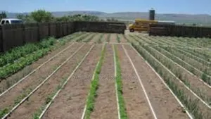 Water Smarter, Farm Better With Drip Lines!