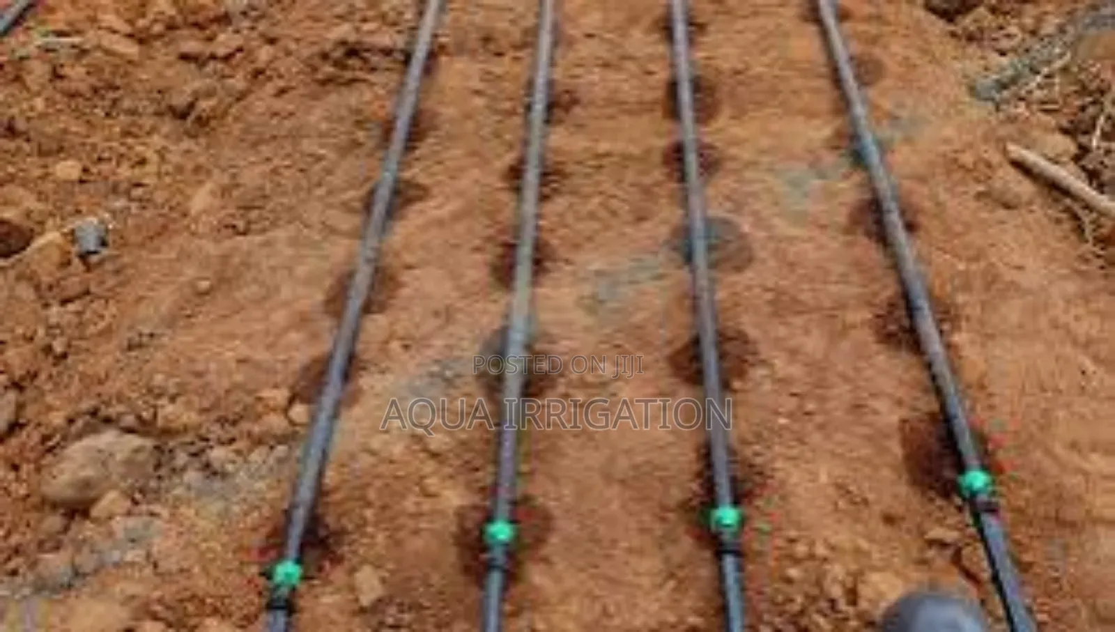 Grow More With Efficient Drip Lines