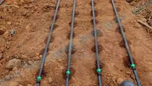 Grow More With Efficient Drip Lines