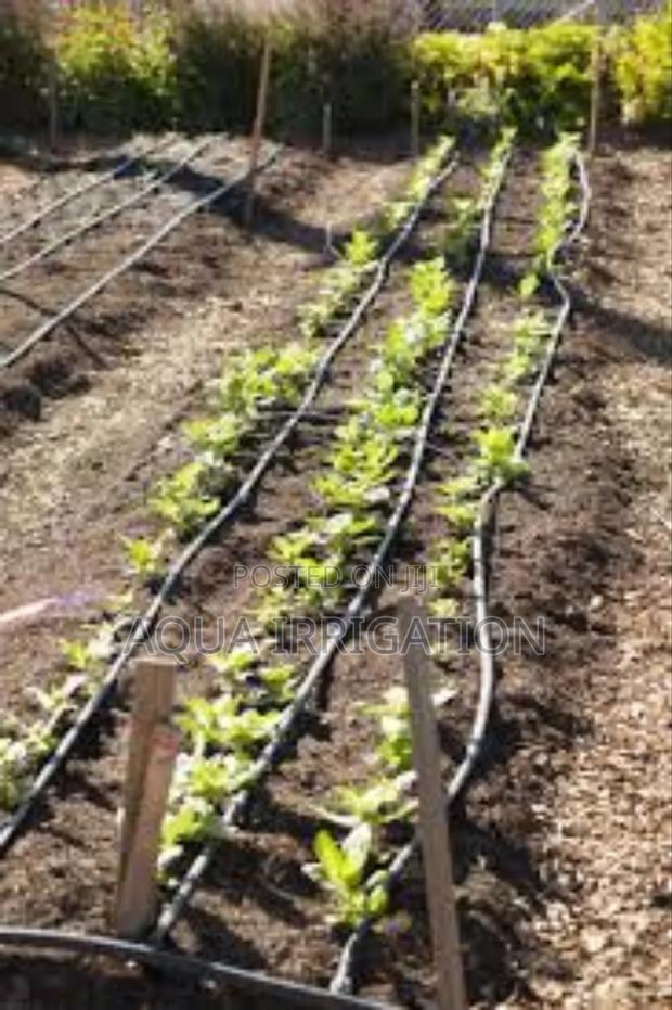 Drip Lines: Keep Your Fields Thriving - main view
