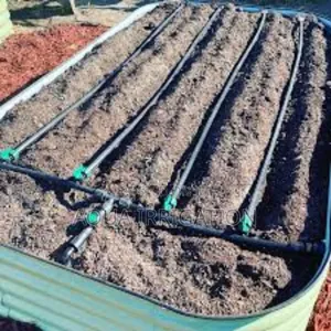 Drip Lines: The Ultimate Water-Saving Solution