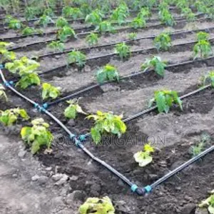 Grow Stronger Crops With Drip Irrigation