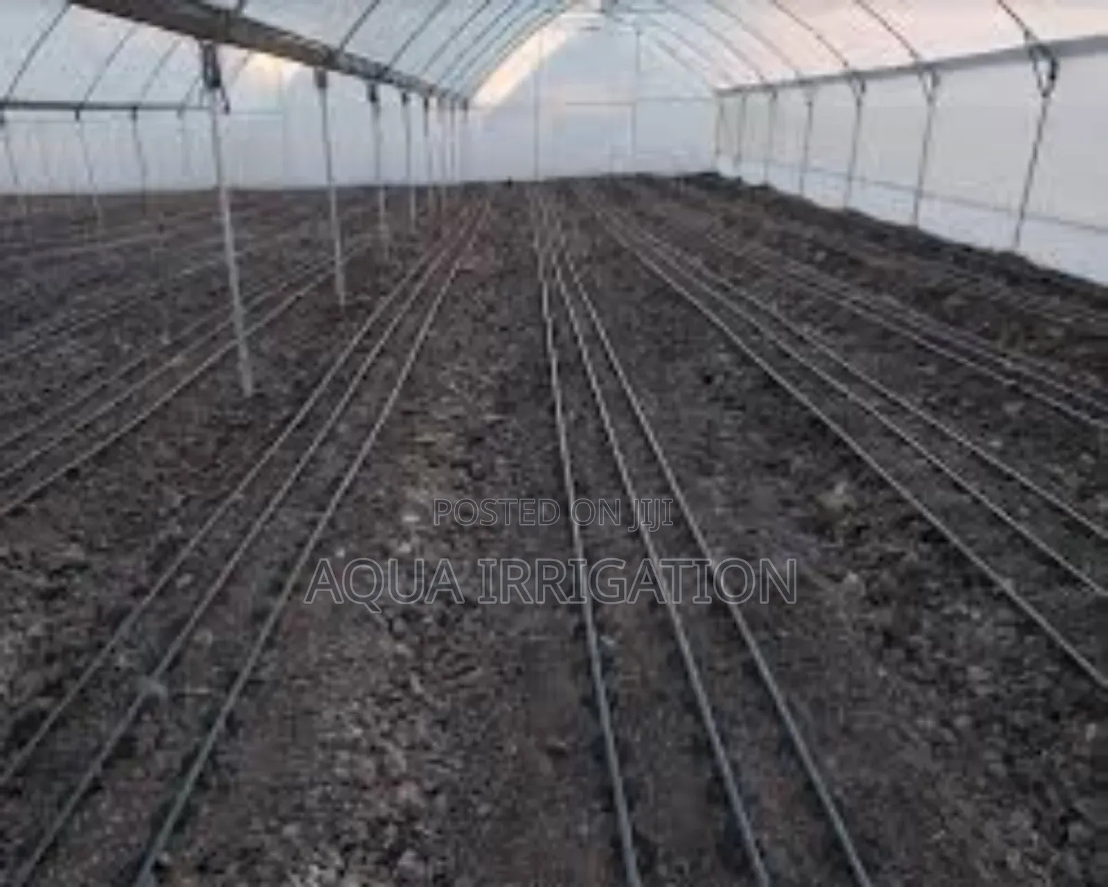 Water More Efficiently With Drip Lines