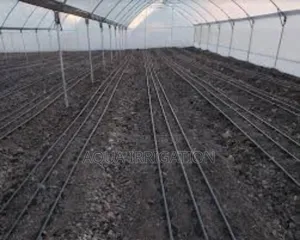 Water More Efficiently With Drip Lines