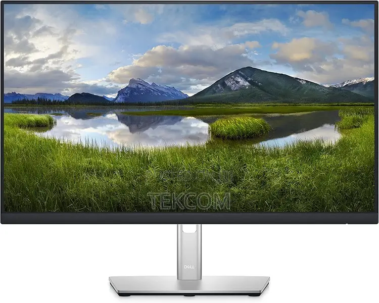 Dell P2425HE 23.8" FHD Monitor