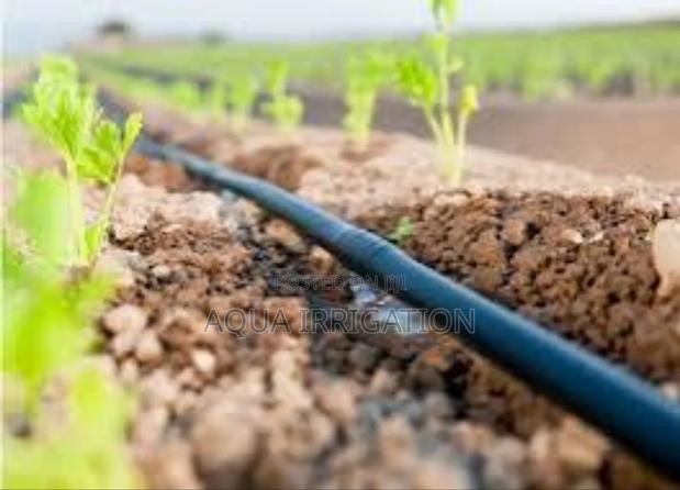 Drip Irrigation: Water Where It Matters - main view