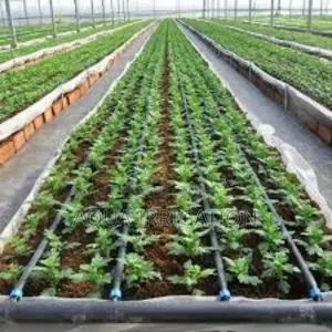 Drip Irrigation: Boost Yields, Cut Costs!