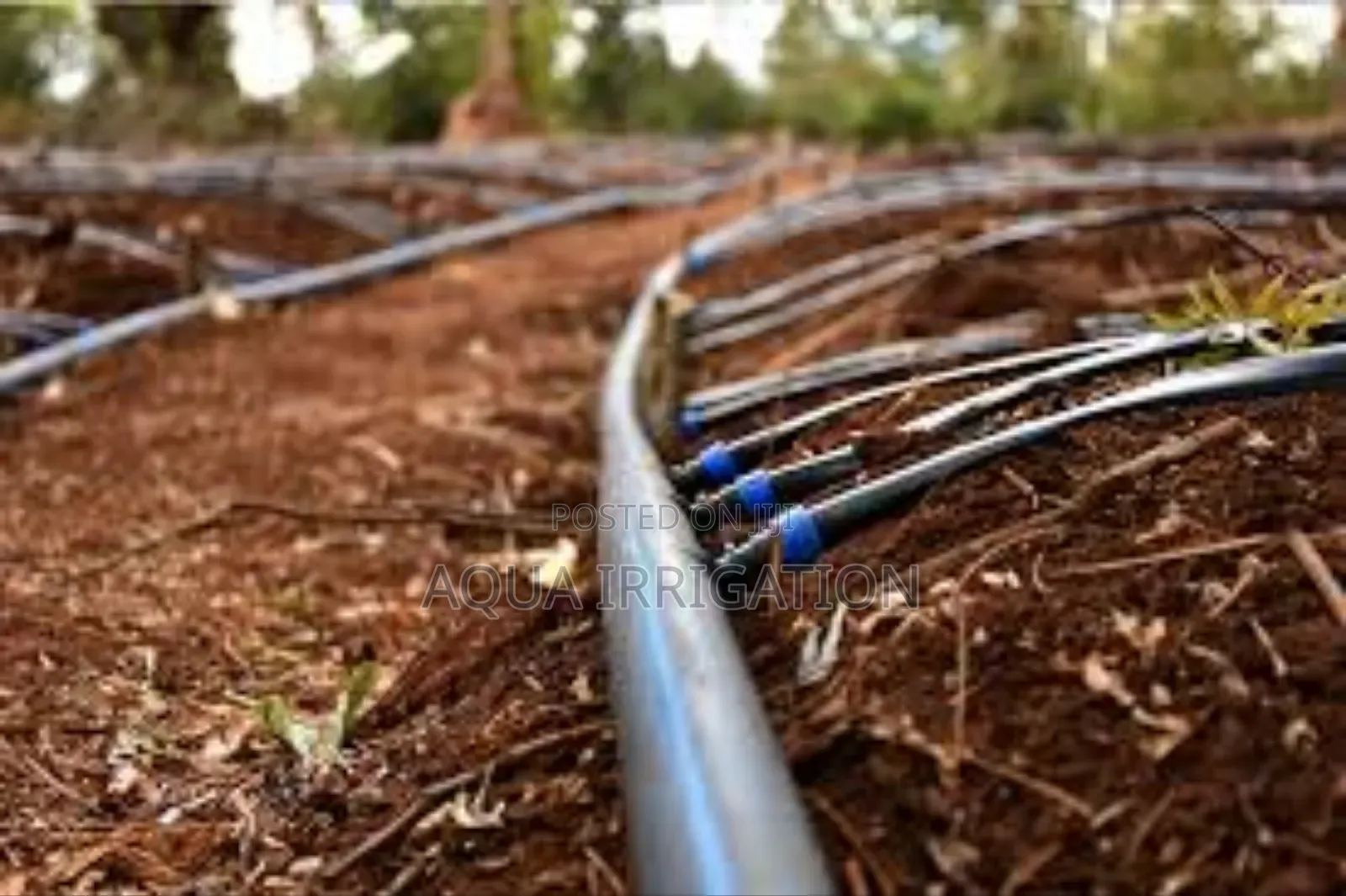 Drip Lines: The Smarter Way to Farm