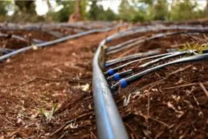 Drip Lines: The Smarter Way to Farm