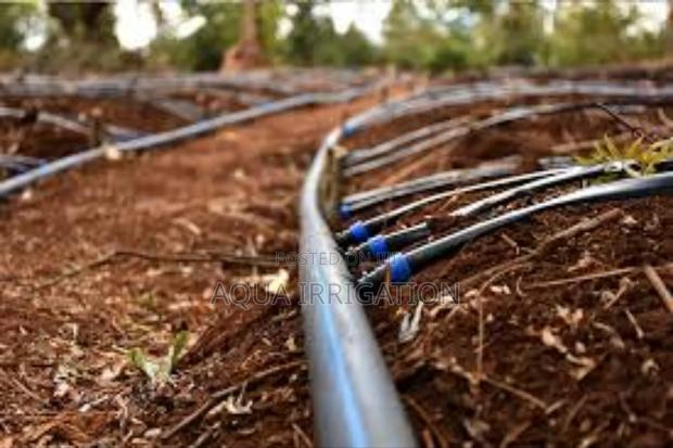 Drip Lines: The Smarter Way to Farm