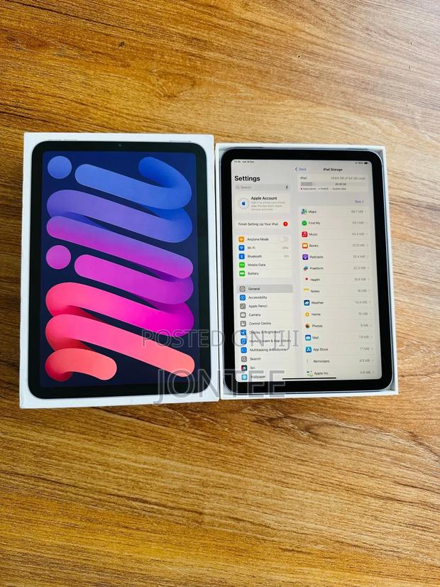 Apple iPad mini Wi-Fi + Cellular 64 GB Gray - main view