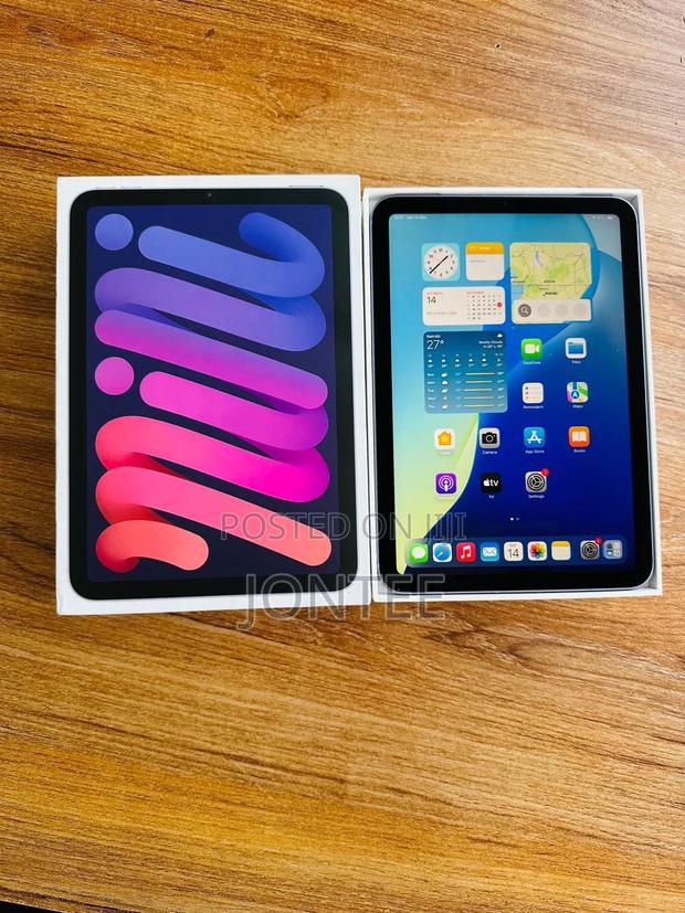 Apple iPad mini Wi-Fi + Cellular 64 GB Gray - thumbnail 3