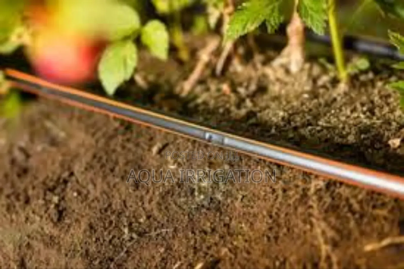 Drip Lines: Reliable, Smart, and Sustainable