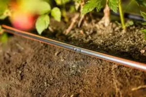 Drip Lines: Reliable, Smart, and Sustainable