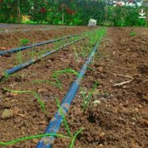 Drip Irrigation: The Smartest Way to Water - thumbnail 2