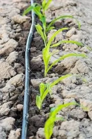 More Growth, Less Waste With Drip Lines!