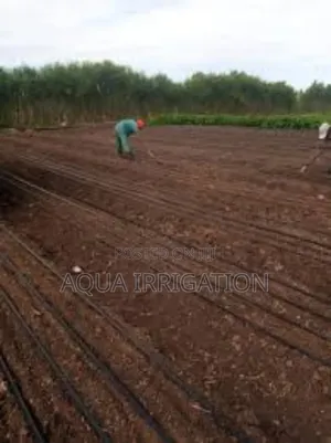 Maximize Every Drop With Drip Irrigation