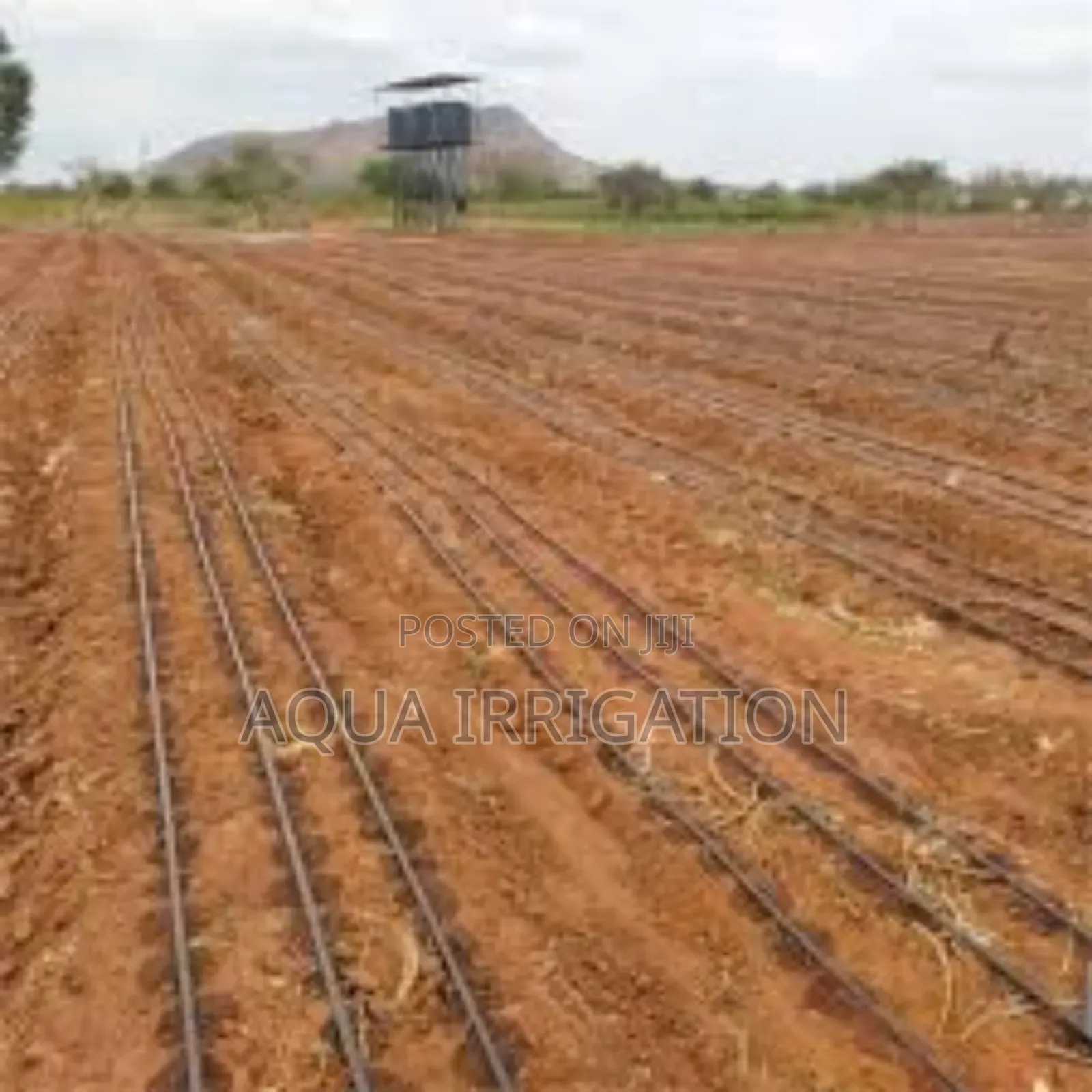 Every Drop Feeds Your Crop With Drip Lines