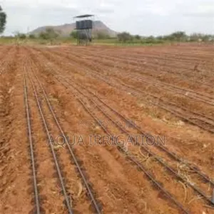 Every Drop Feeds Your Crop With Drip Lines