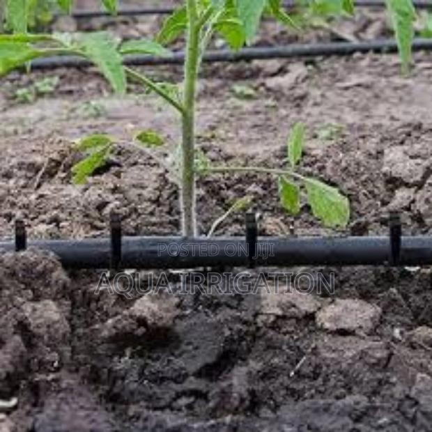 Drip Lines: Efficiency in Every Drop - main view