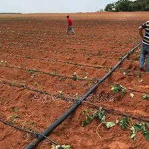 Drip Irrigation: Grow More With Less Water - thumbnail 2