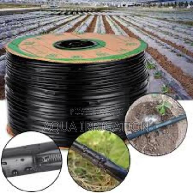 Drip Lines: The Best Choice for Water Savings!