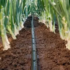 Water Wisely, Harvest More