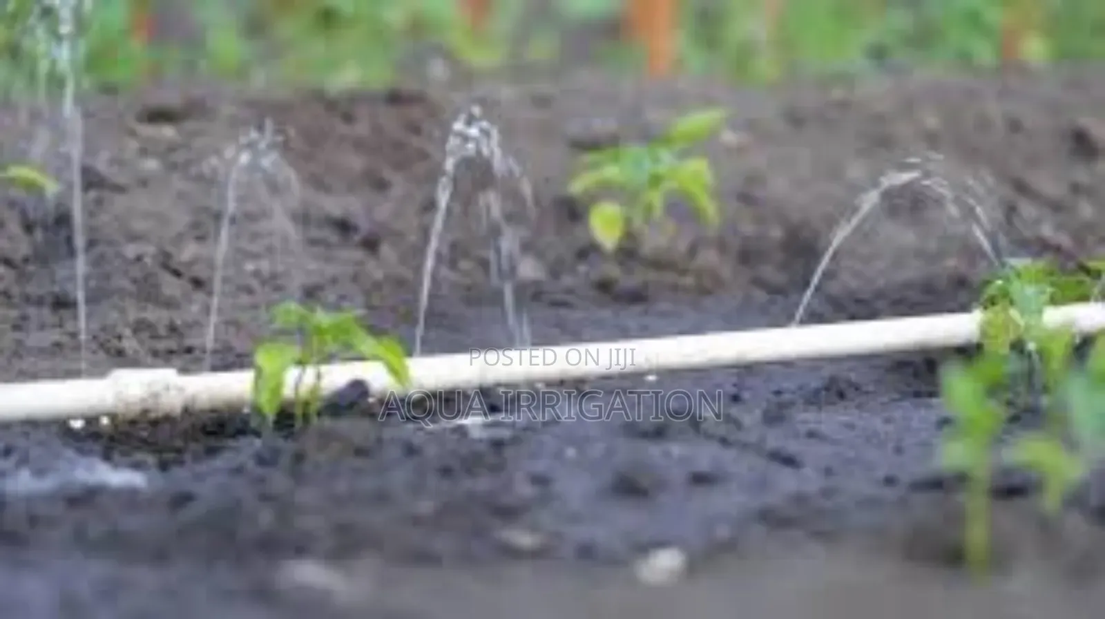 Drip Irrigation: A Sustainable Watering Solution